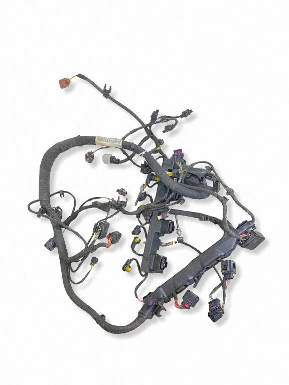 Mootori juhtmestik 06L971595CG