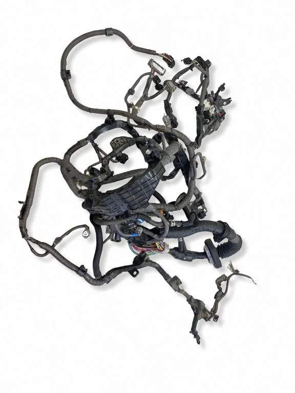 Mootori juhtmestik 821216AP50