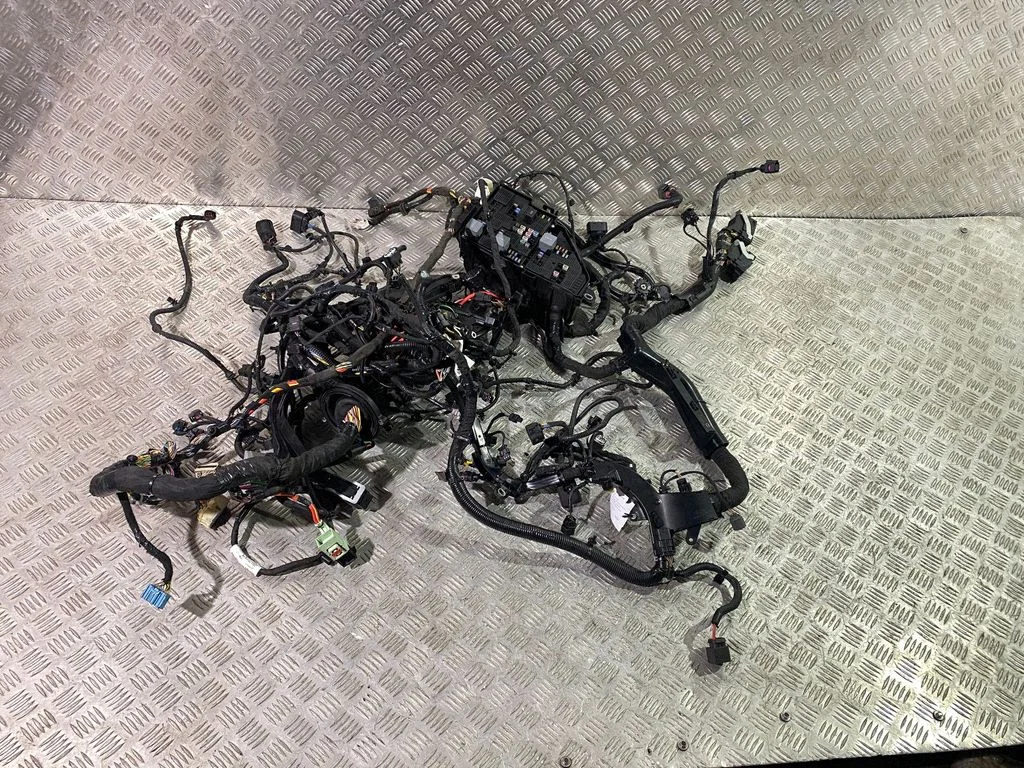 Engine installation wiring loom 102942662