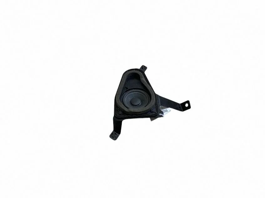 Skaļrunis (-ņi) aizmugurējās durvīs 31489256