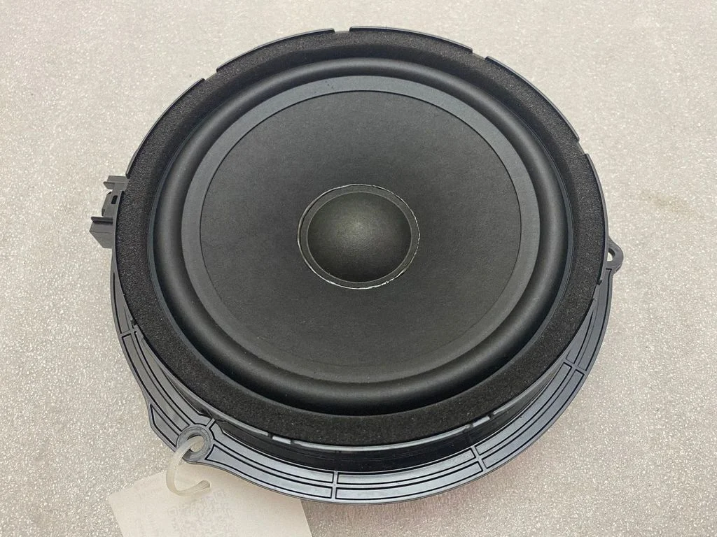 Skaļrunis (-ņi) aizmugurējās durvīs JJ3218808BA