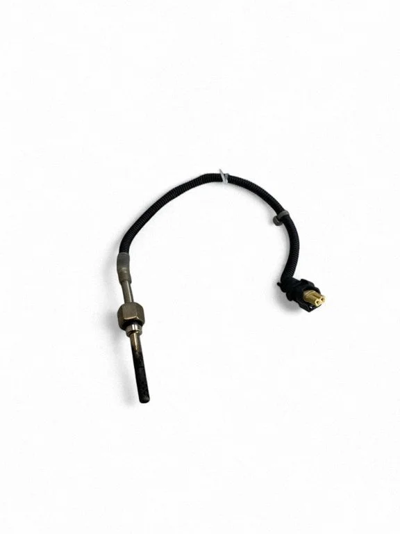Heitgaasi temperatuuriandur A0009055302