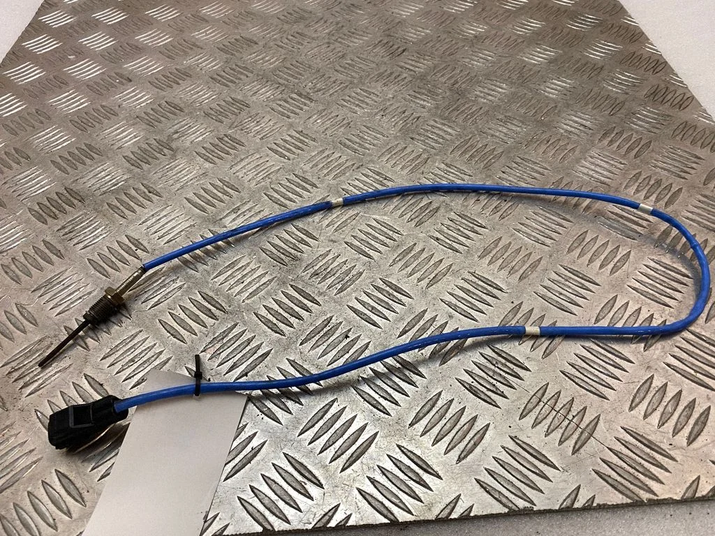 Exhaust gas temperature sensor LX6112B591GB