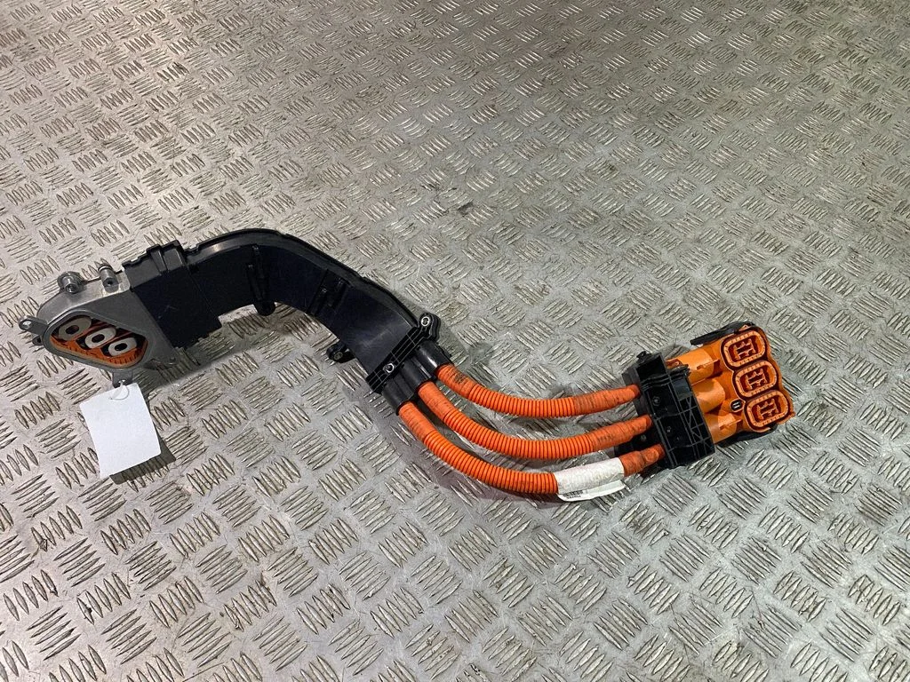 Other wiring loom 30644624