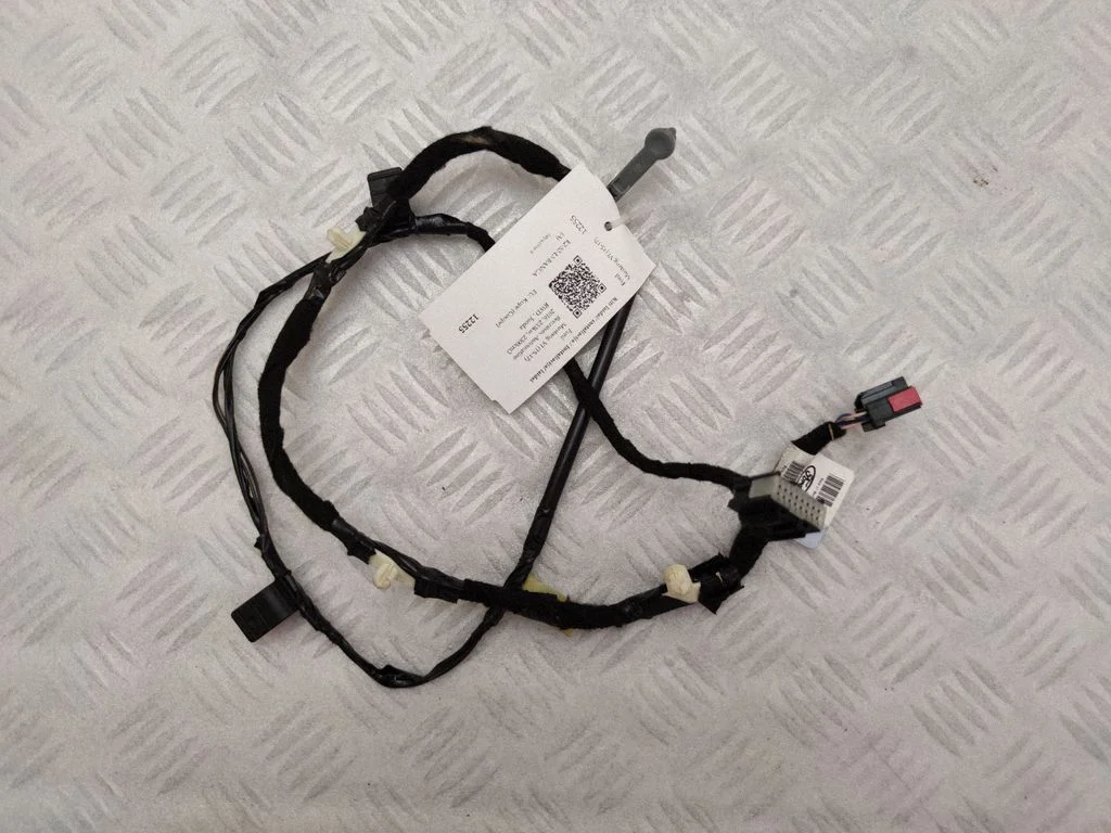 Other wiring loom – Ford Mustang VI (2015-)