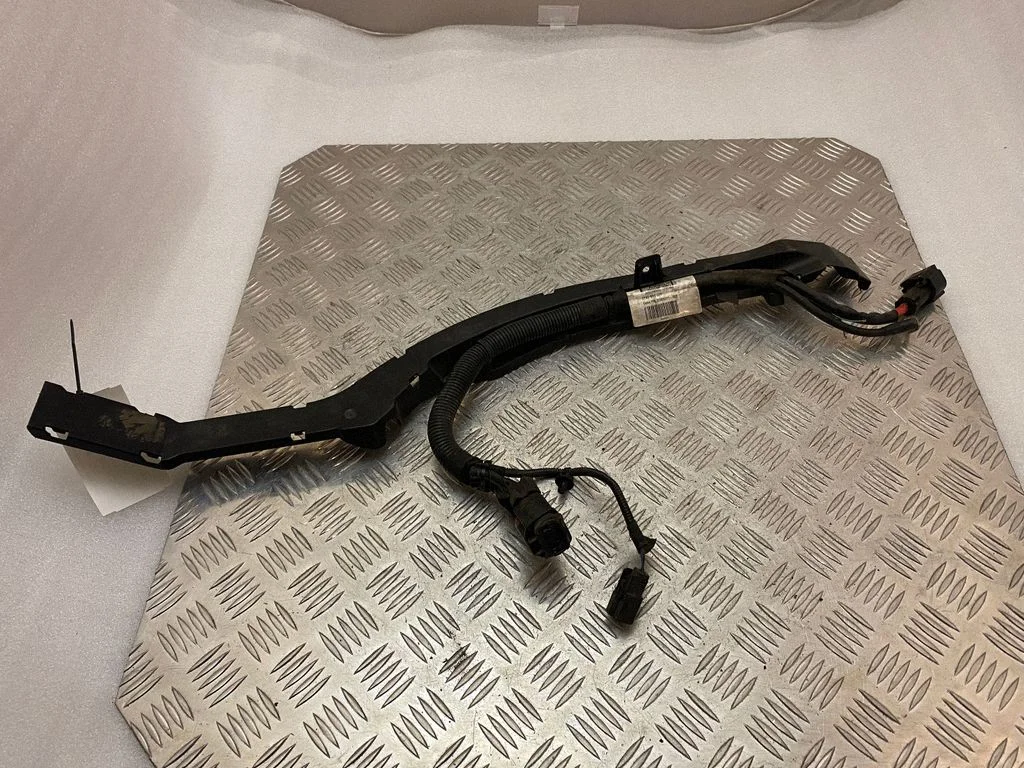 Other wiring loom 31499311