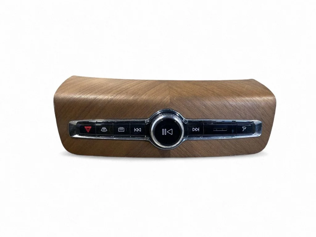 Head unit multimedia control 31366818