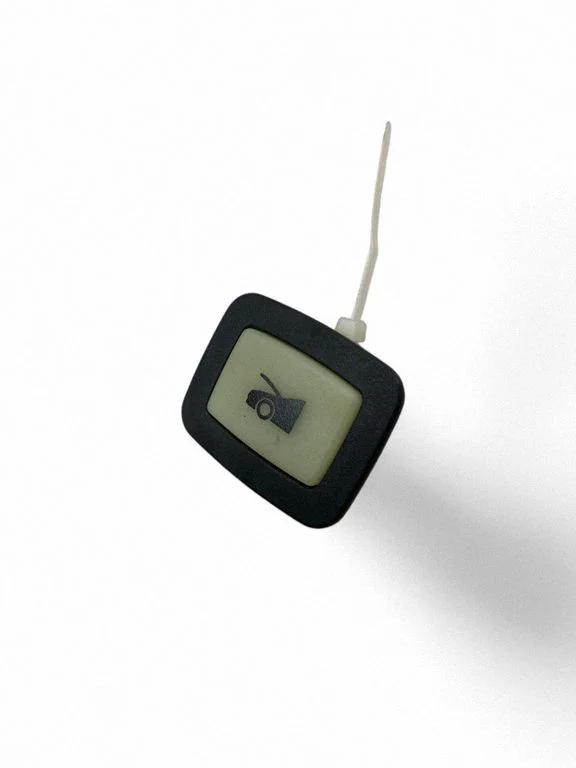 Tailgate opening switch 100206600A