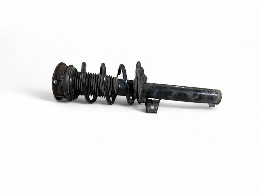 Front shock absorber with coil spring 5QF412022BS