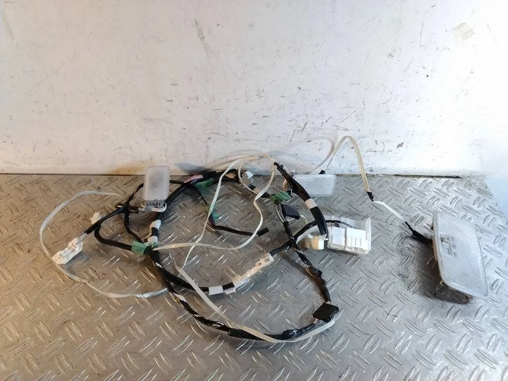 Tagaistmete valgustustuli – Toyota RAV 4 (XA40) (2012-2018)