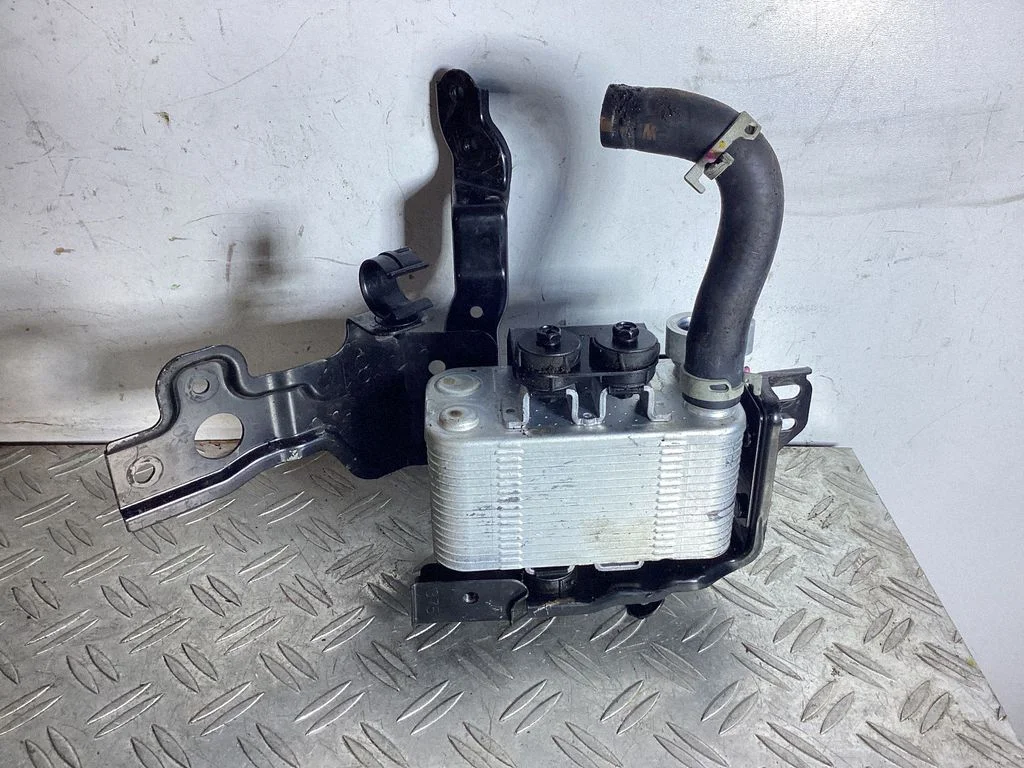 Optional radiator – Lexus NX (2021-)