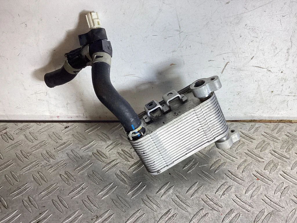 Optional radiator – Lexus NX (2021-)