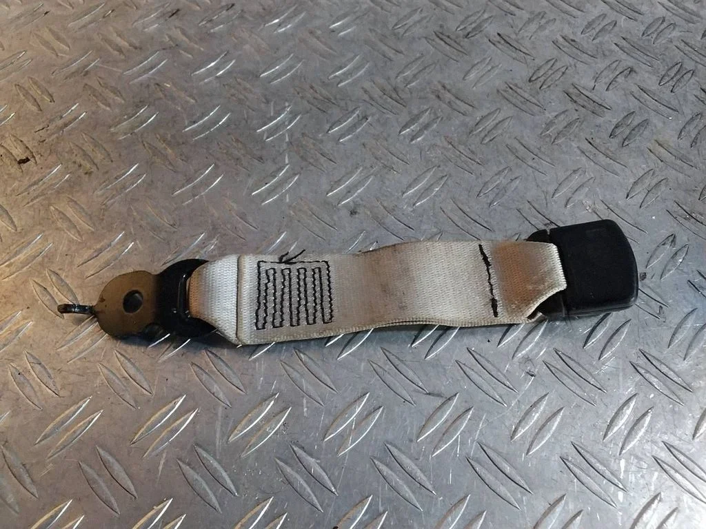 Middle seatbelt (rear) 7244843