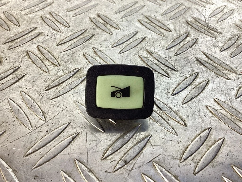 Tailgate/boot open switch button 100206600A