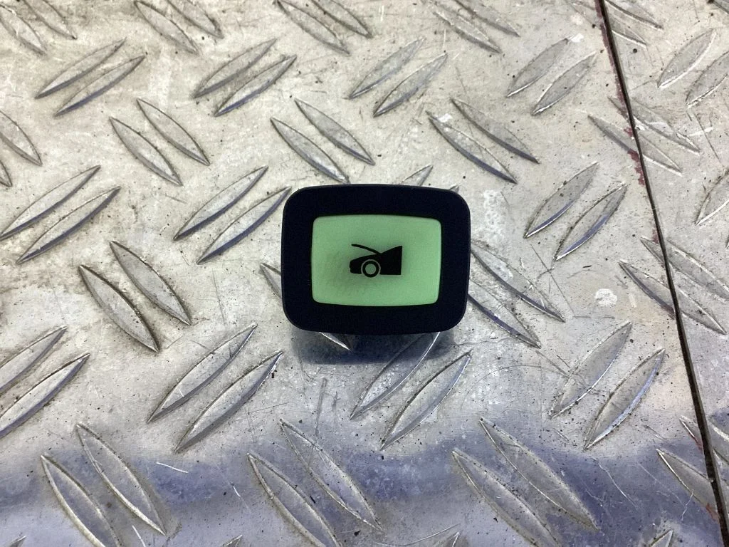 Tailgate/boot open switch button 100206600A