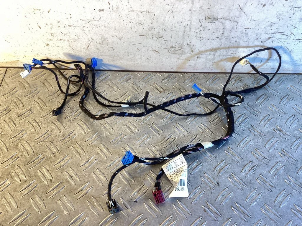 Front door wiring loom A1665409501