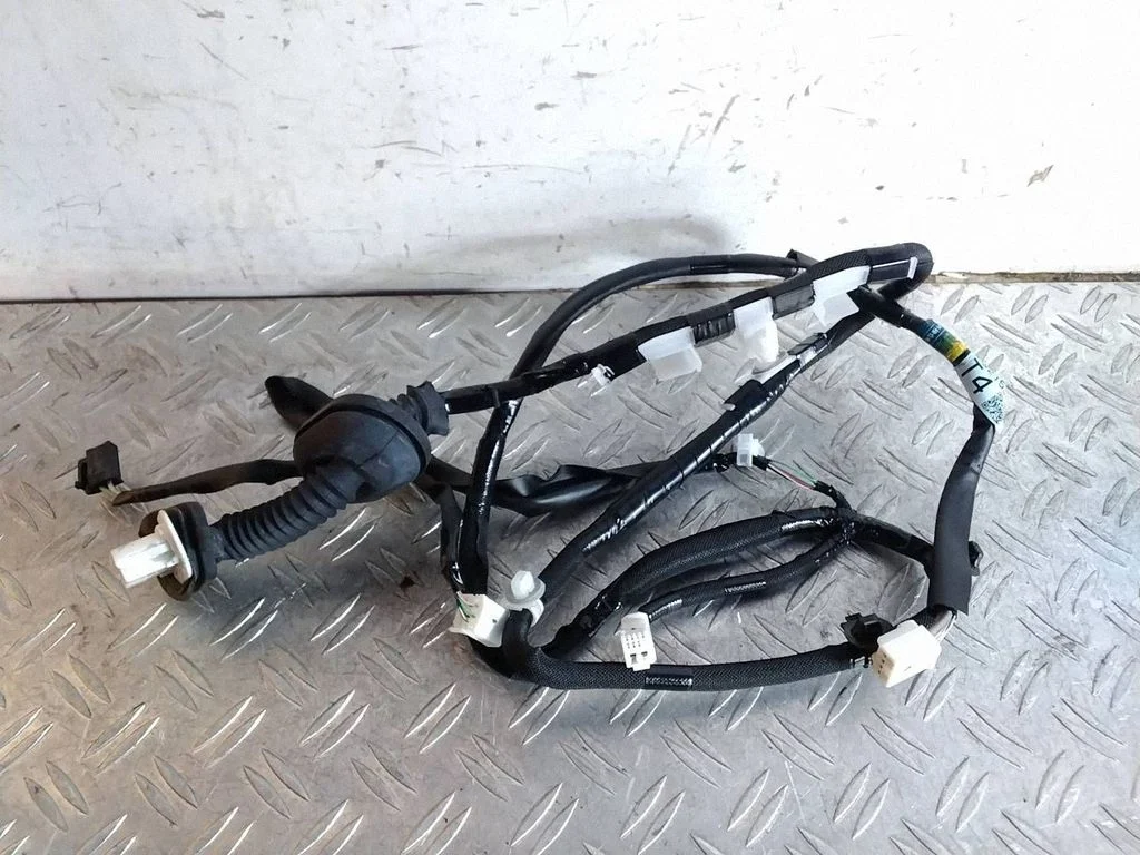 Rear door wiring loom 8215353150F