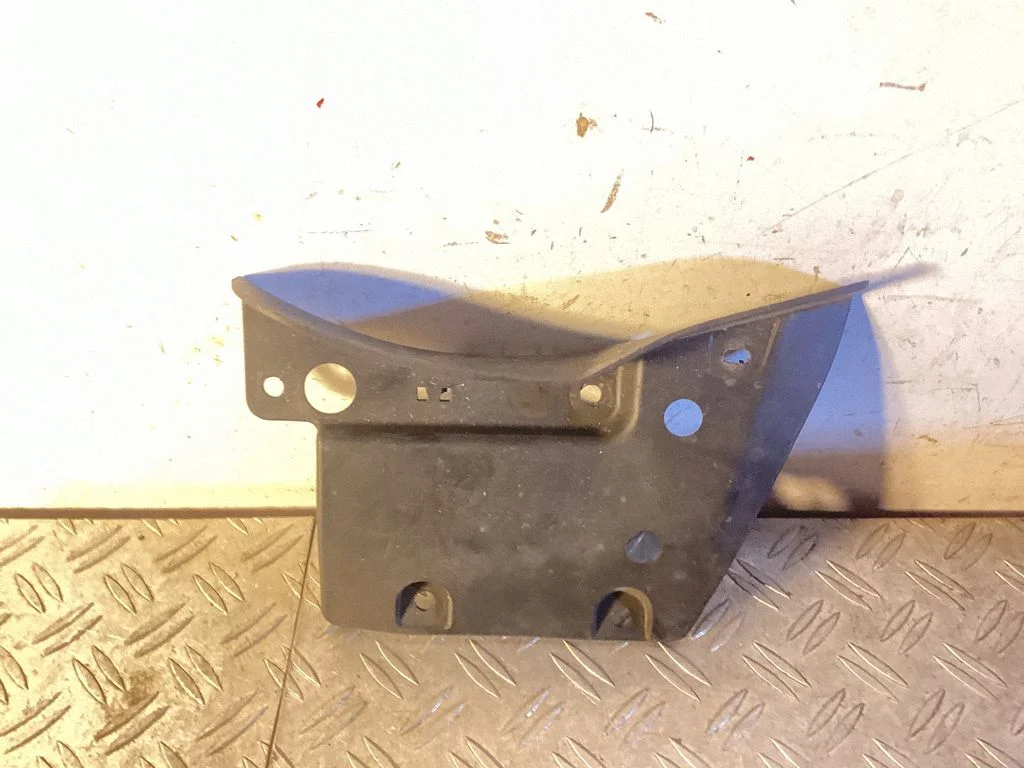Rear mudguard – Lexus NX (2014-2021)