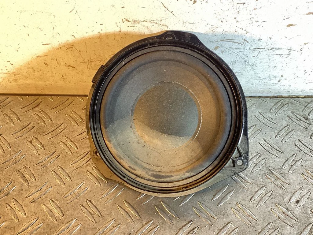 Front door speaker A1668202002