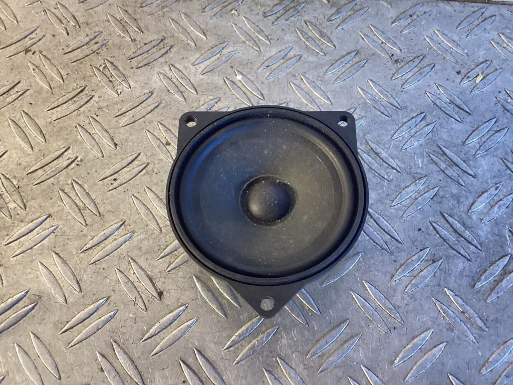 Front door speaker 6513914149401