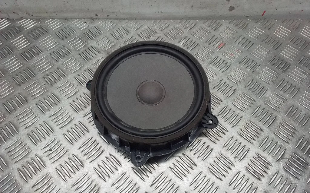 Front door speaker 107974400E