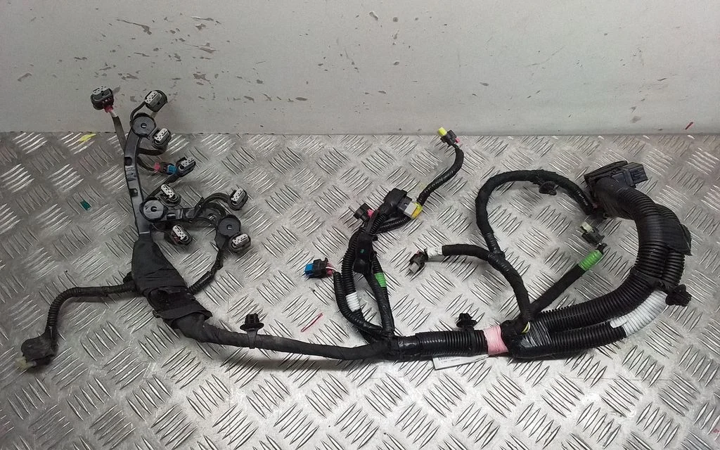 Engine installation wiring loom P206876700C