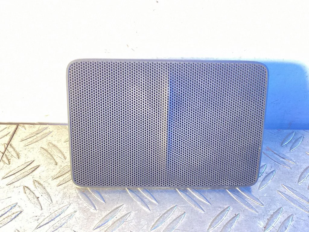 Radio/GPS head unit trim 5541053050
