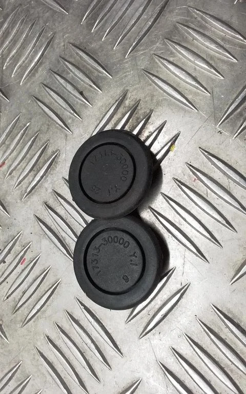 Rubber seal front door (on door) 1731330000
