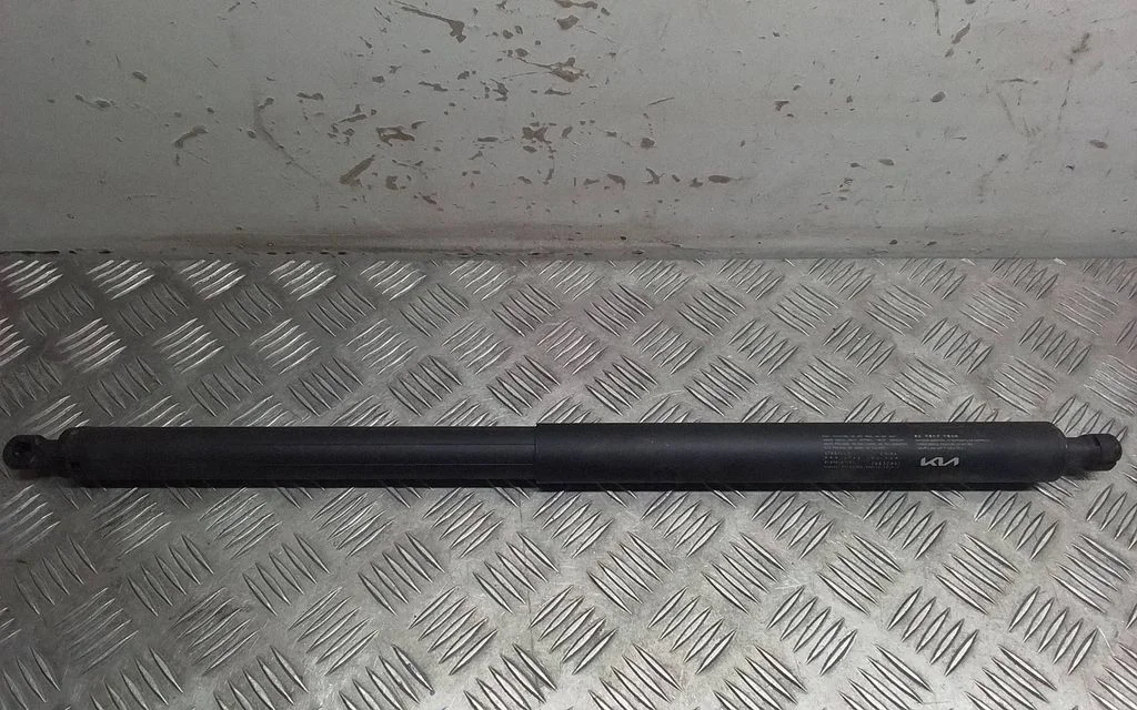 Tailgate strut 81840AT101