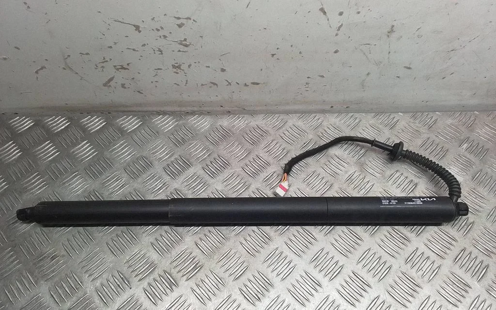 Tailgate strut 81830AT101