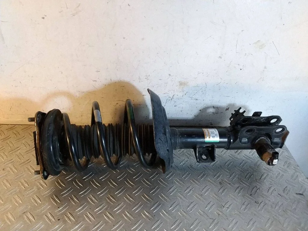 Front shock absorber with coil spring – Lexus NX (2021-)