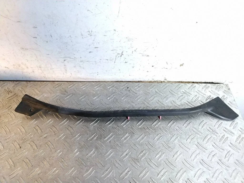 Rear door glass trim molding – Toyota Land Cruiser (J150) (2009-)