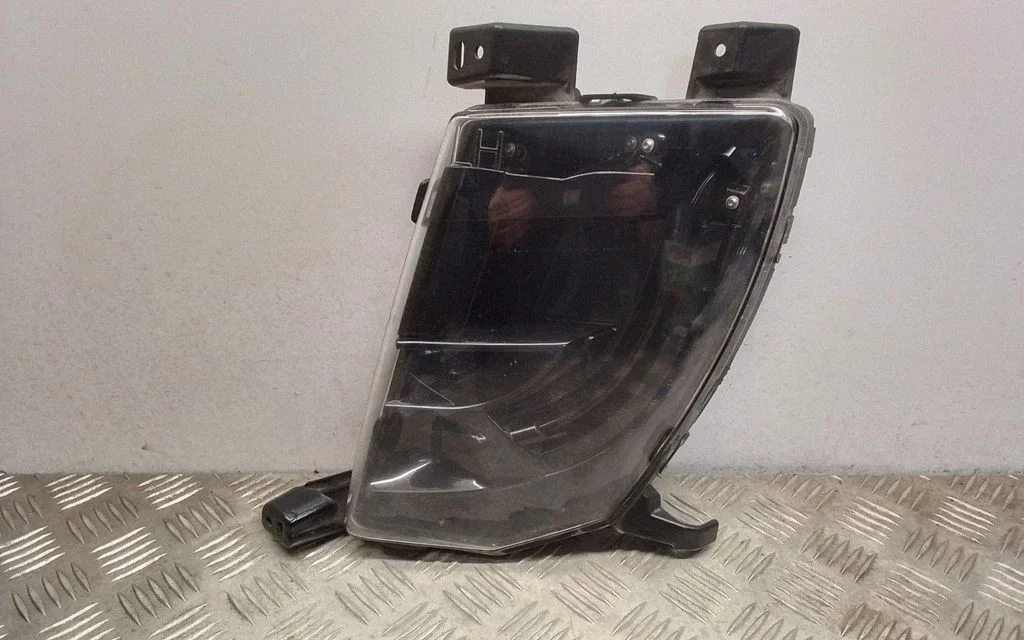 Front fog light 100599900D