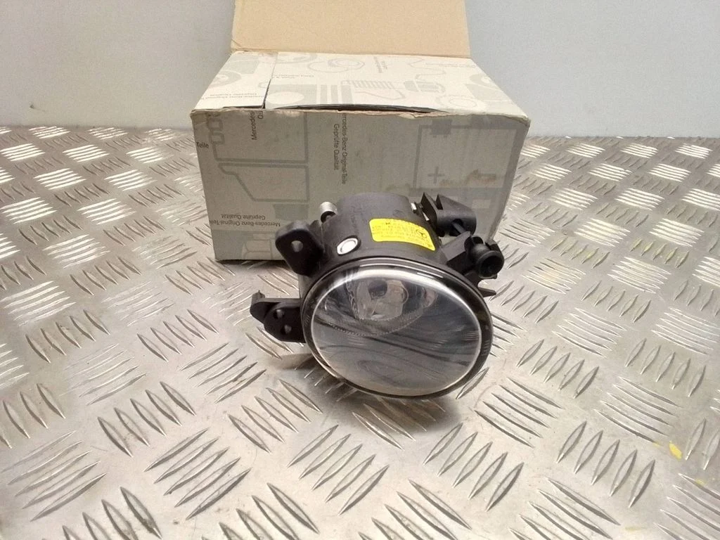 Front fog light A2518200856