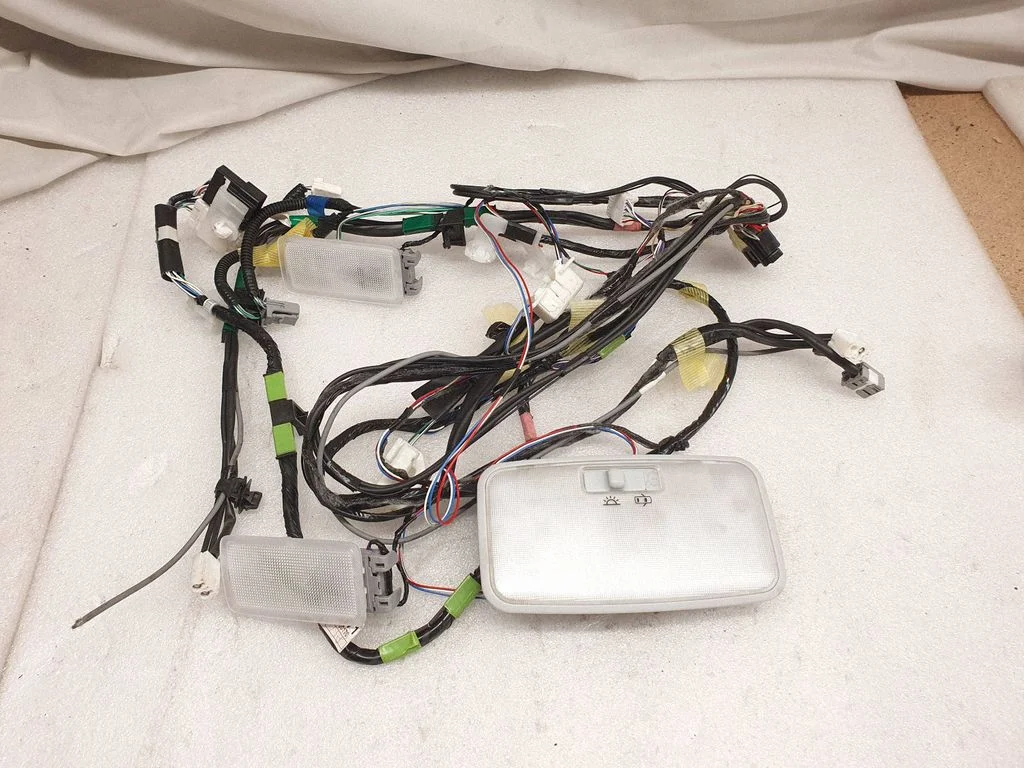 Tagaistmete valgustustuli – Toyota Prius (XW50) (2015-2023)
