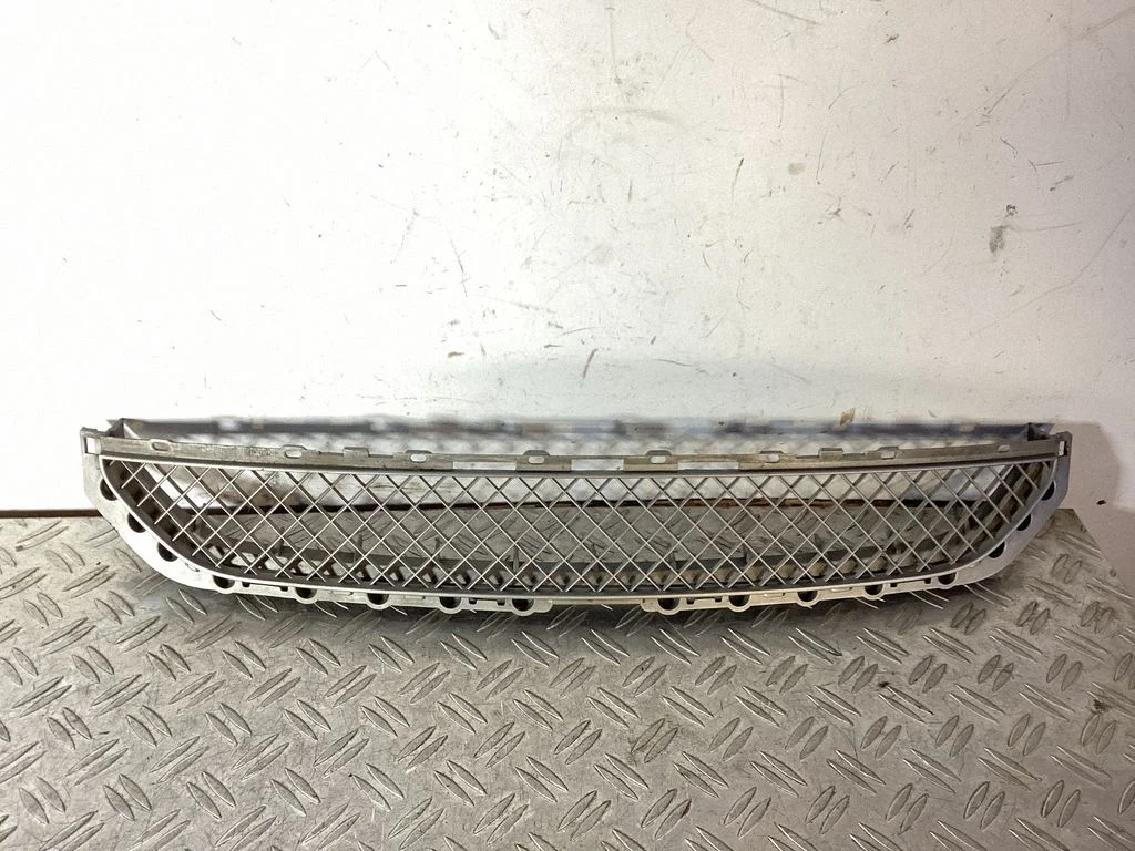 Front bumper lower grill 51118204363