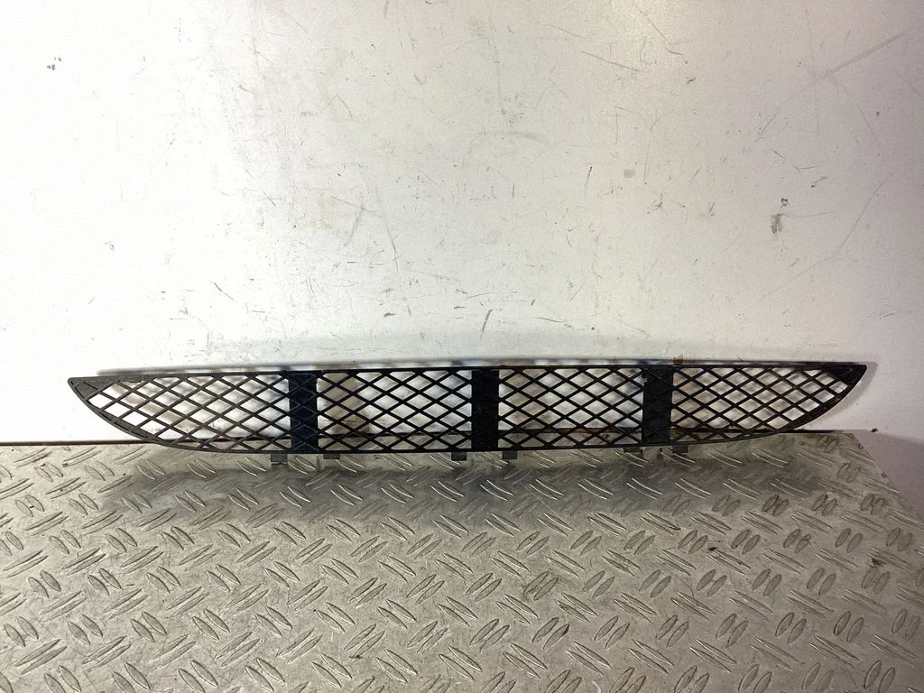 Front bumper lower grill A2108850053