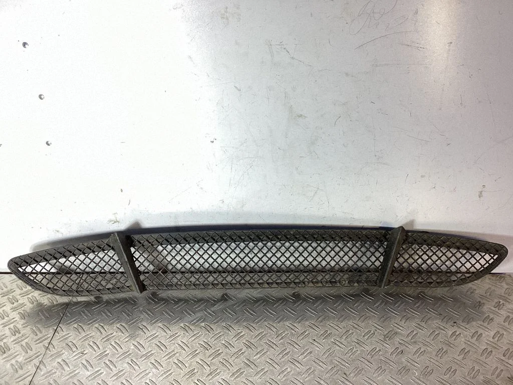 Front bumper lower grill 51117118161 – BMW 1 Series E81 E87 (2004-2011)