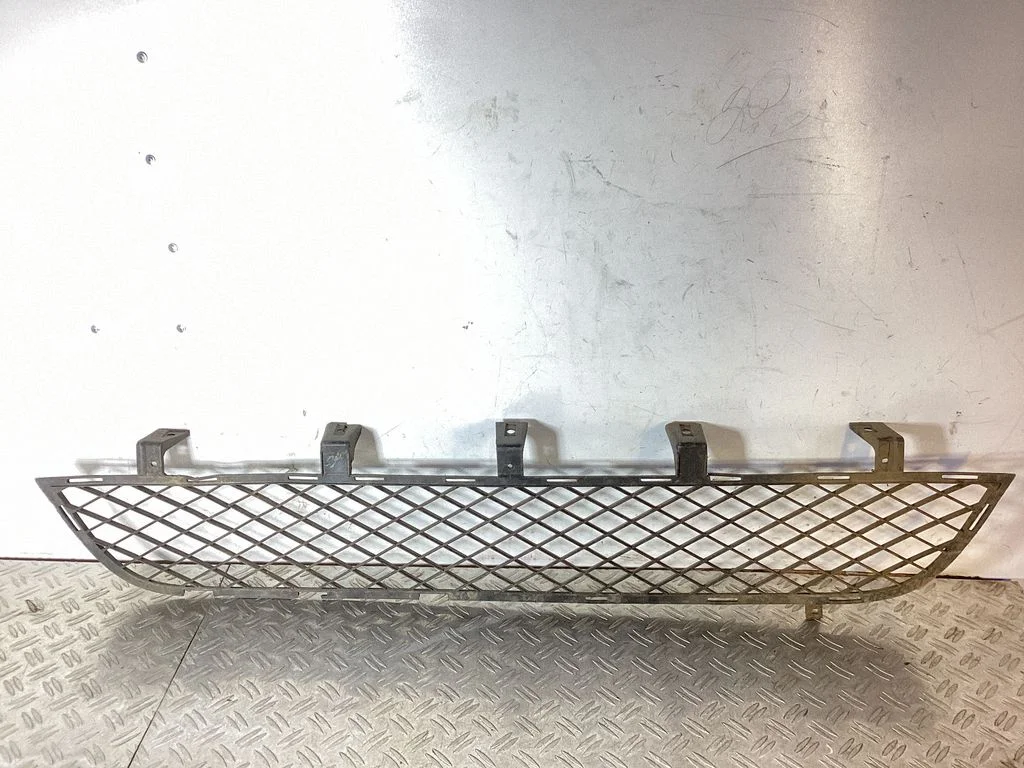 Front bumper lower grill MN142535