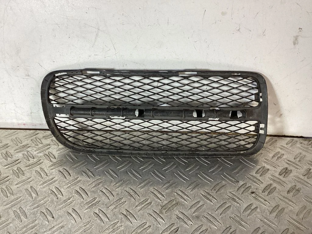 Front bumper lower grill 7L6853666A