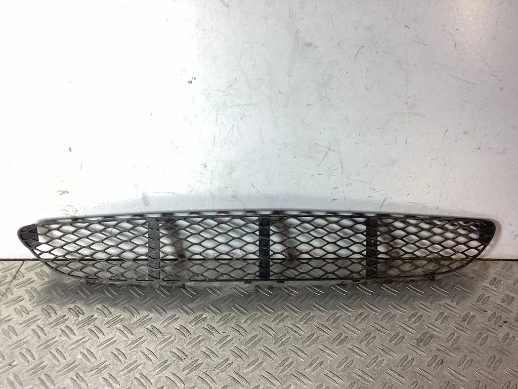 Front bumper lower grill A2118850053