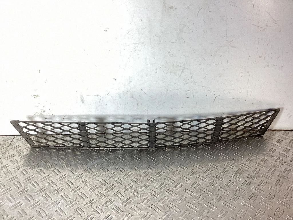 Front bumper lower grill A2118850122