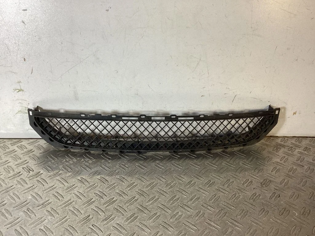 Front bumper lower grill 51118204363