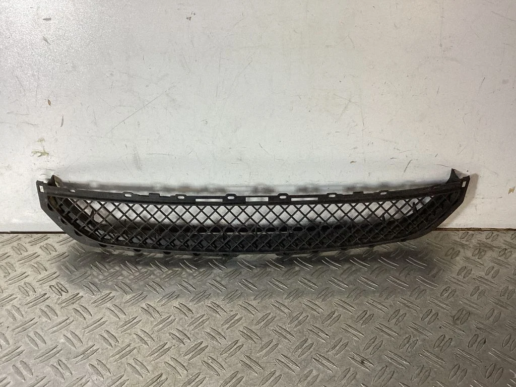 Front bumper lower grill 51118204363