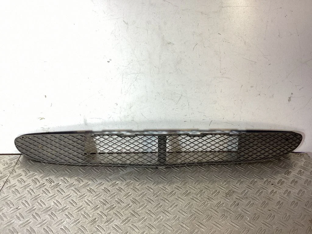 Front bumper lower grill A2308850223