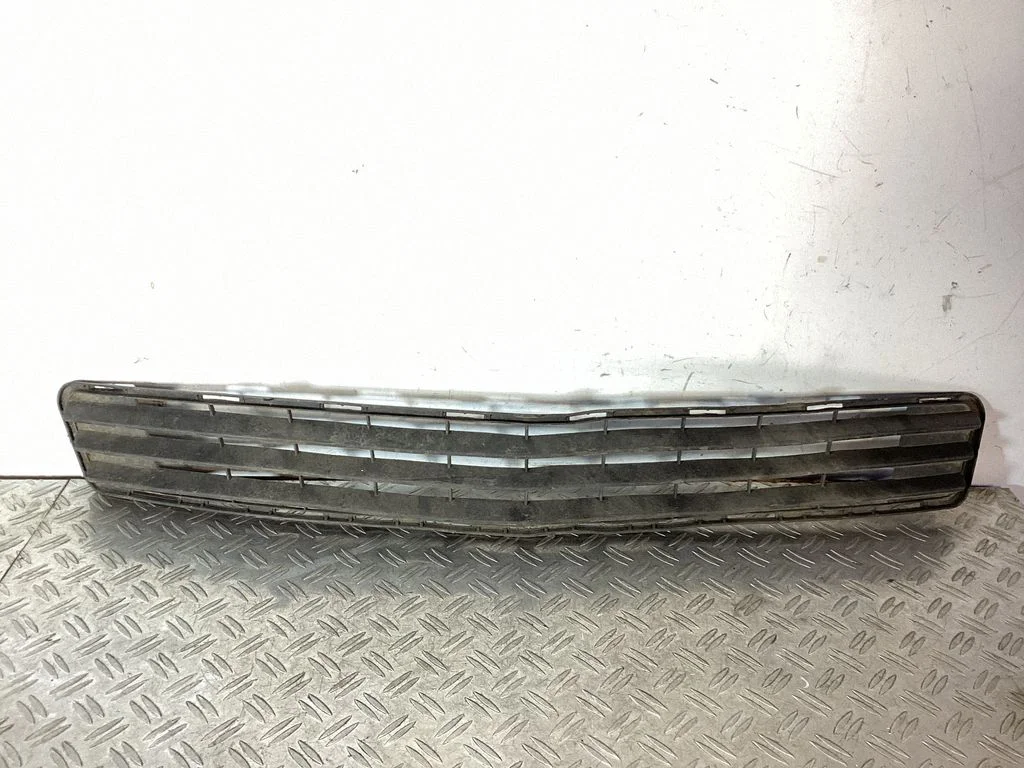 Front bumper lower grill A2048850023