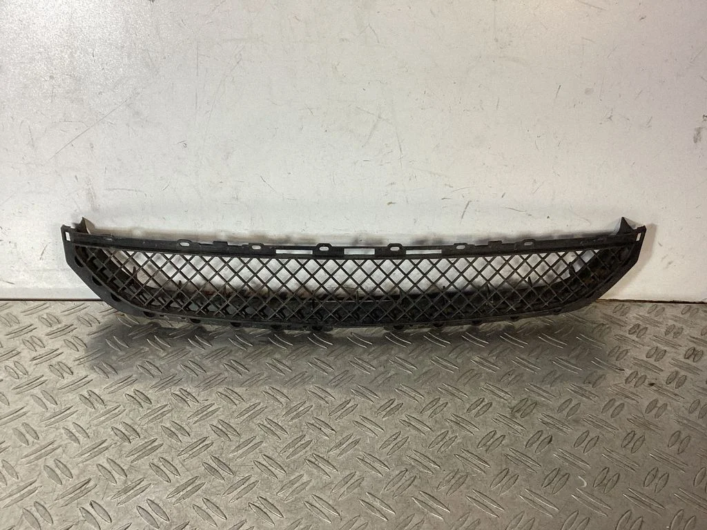 Front bumper lower grill 51118204363