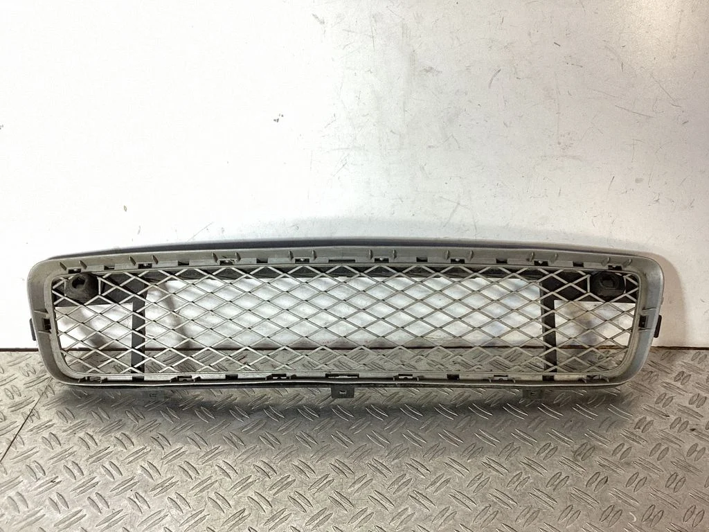 Front bumper lower grill 51117163956