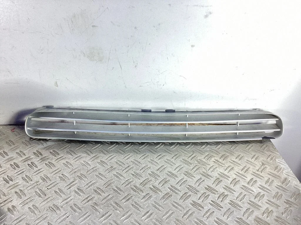 Front bumper lower grill 7L5807683A