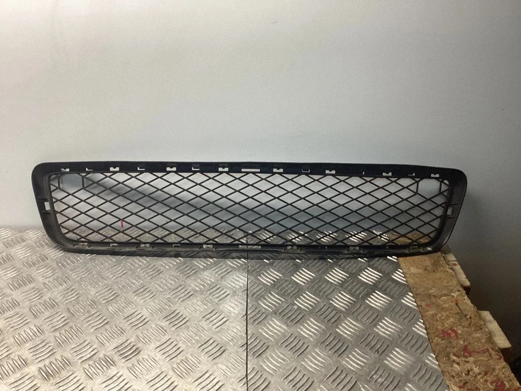 Front bumper lower grill 7163956